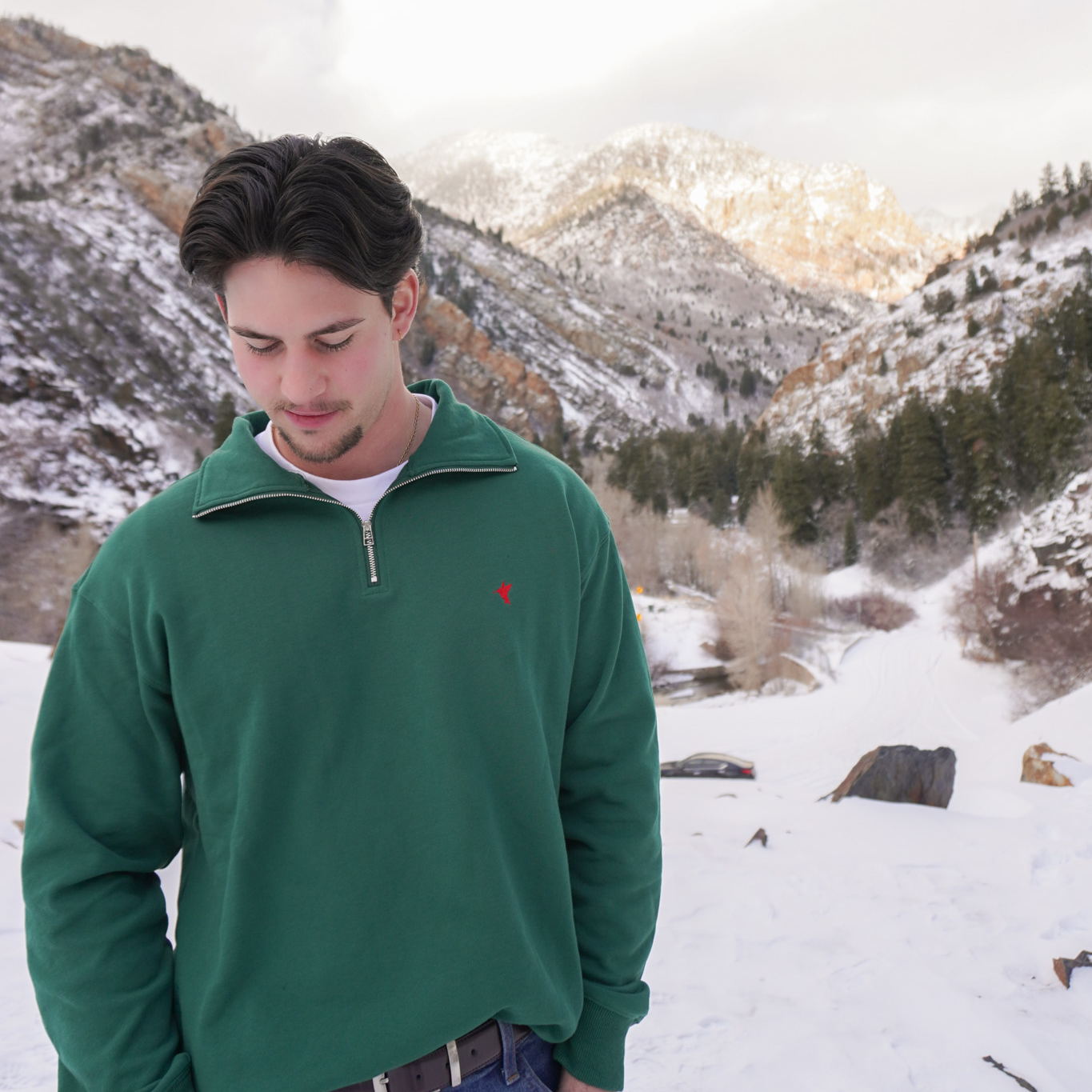 Hummingbird Quarter-Zip