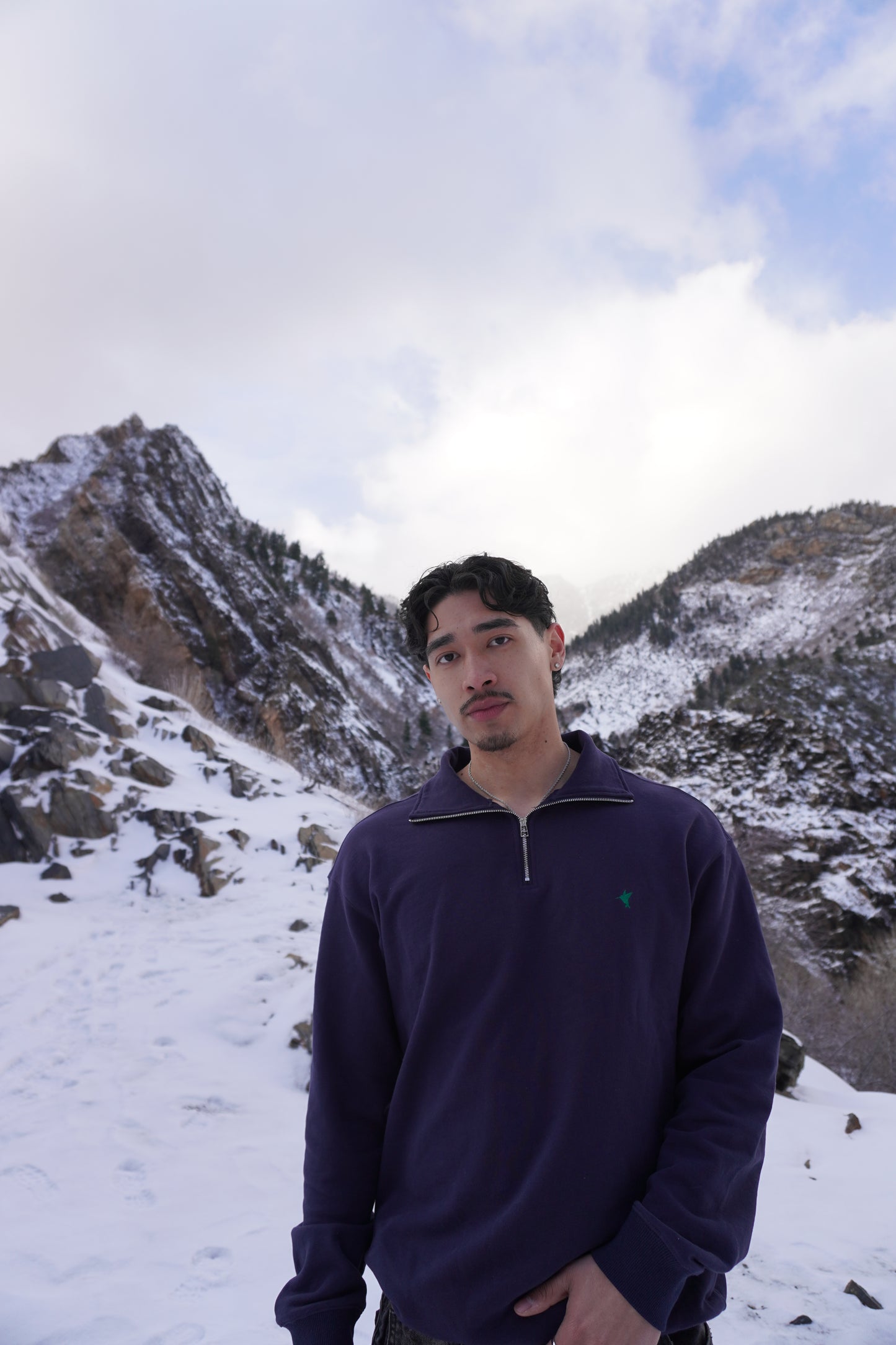 Hummingbird Quarter-Zip