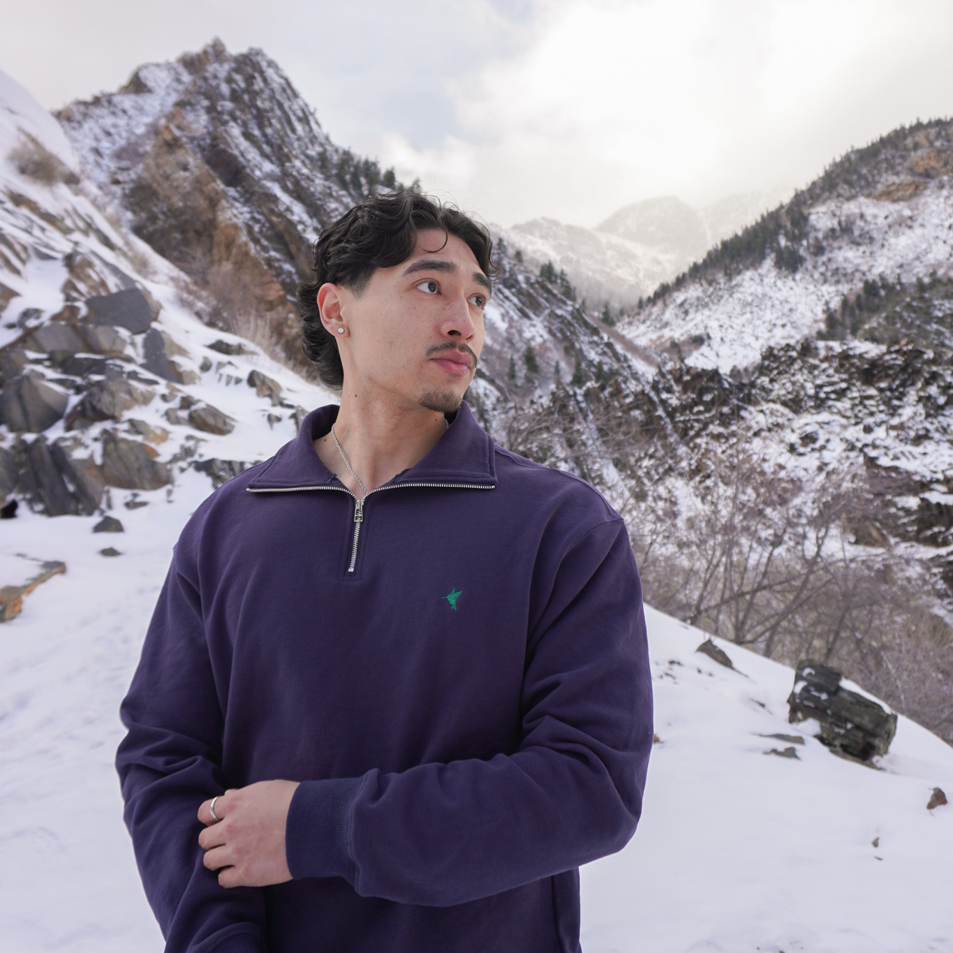 Hummingbird Quarter-Zip